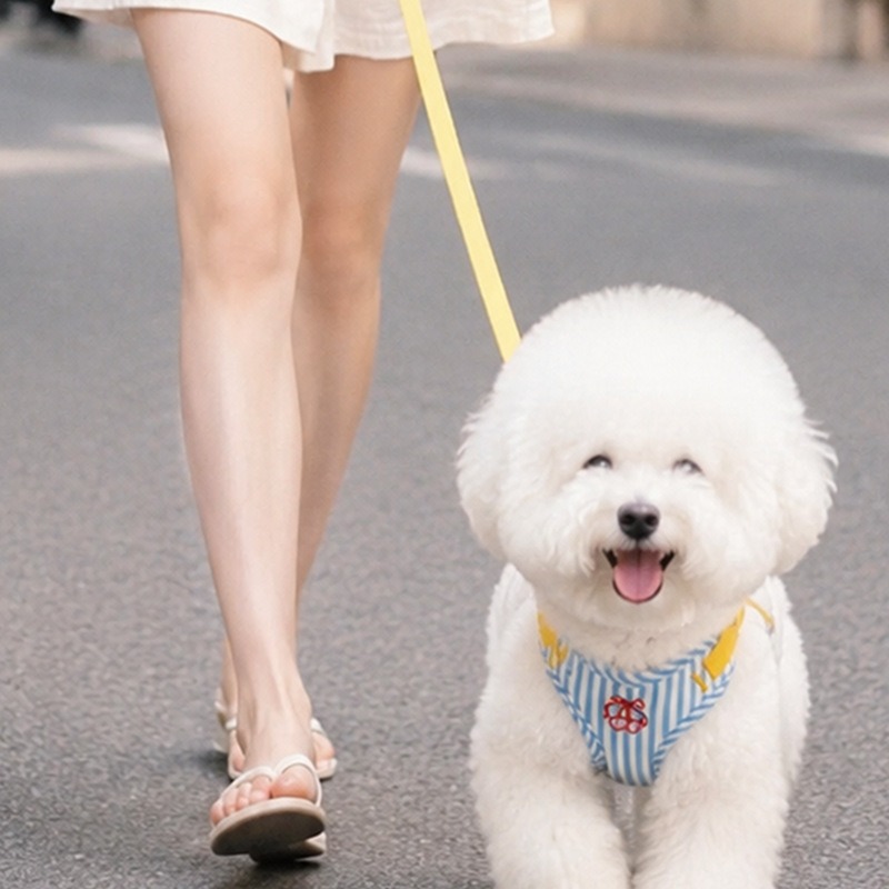 Outdoor Adventure Walks - Cute Dog Leash Vest-Style Chest Strap,
