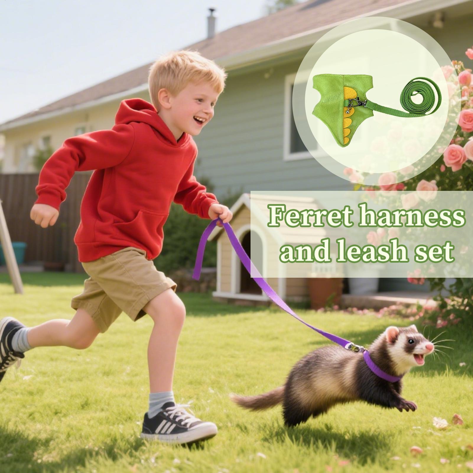 Adjustable Small Pets Harness  - огляд і ціна Outdoor Adventure Walks