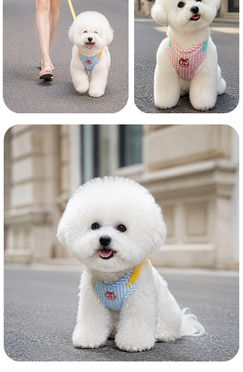 Cute Dog Leash Vest-Style Ches - огляд і ціна Outdoor Adventure Walks